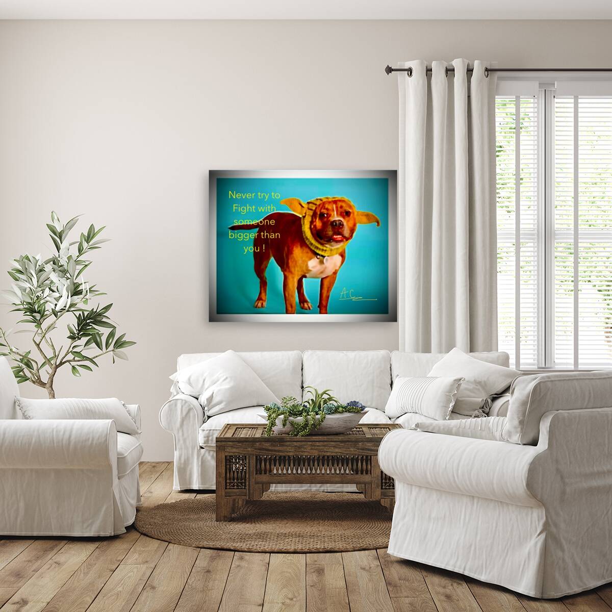Tonys elevation Frames 1 Reproduction