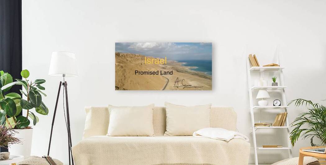 Tonys elevation Frames 1 by Anthony Casco
