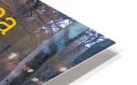 Tonys elevation Frames 3 HD Metal print
