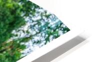 Tonys elevation Frames 2 HD Metal print