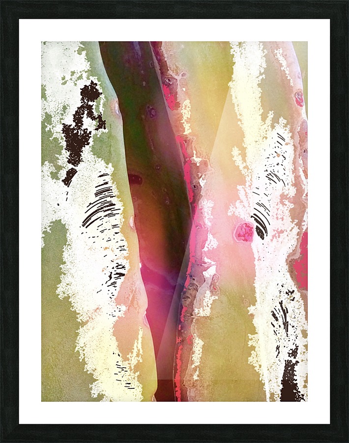 Cactus Texture Picture Frame print