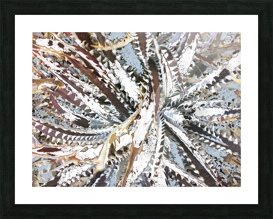 Cactus Arms Picture Frame print