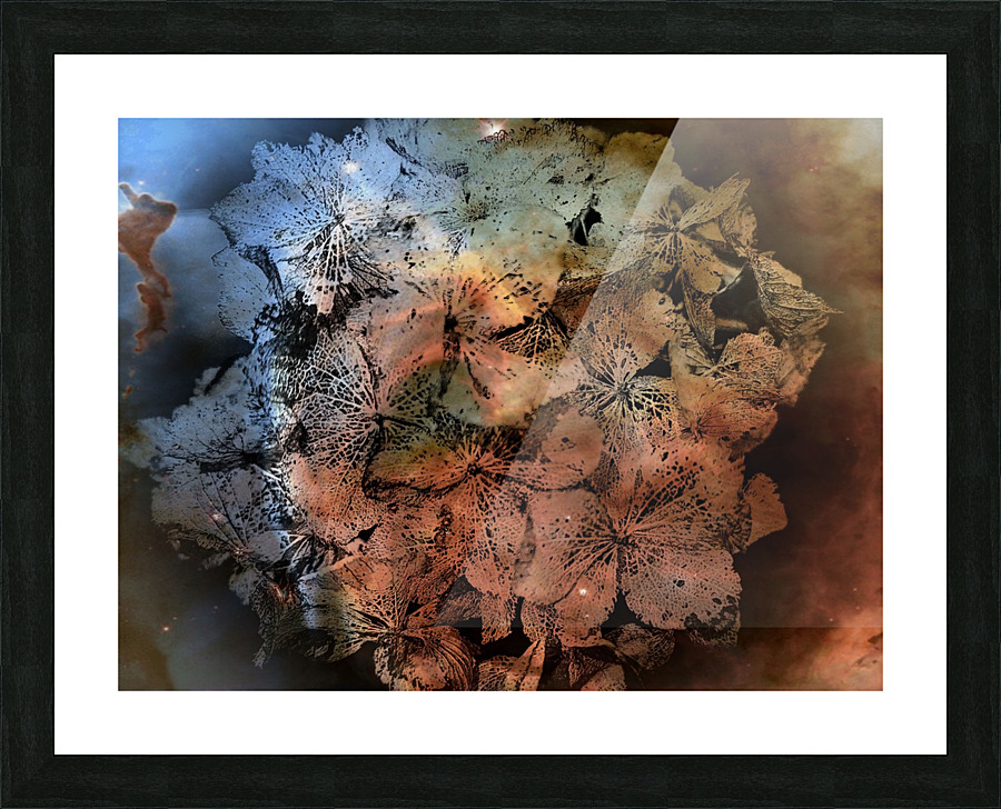 Hydrangea Detail Picture Frame print