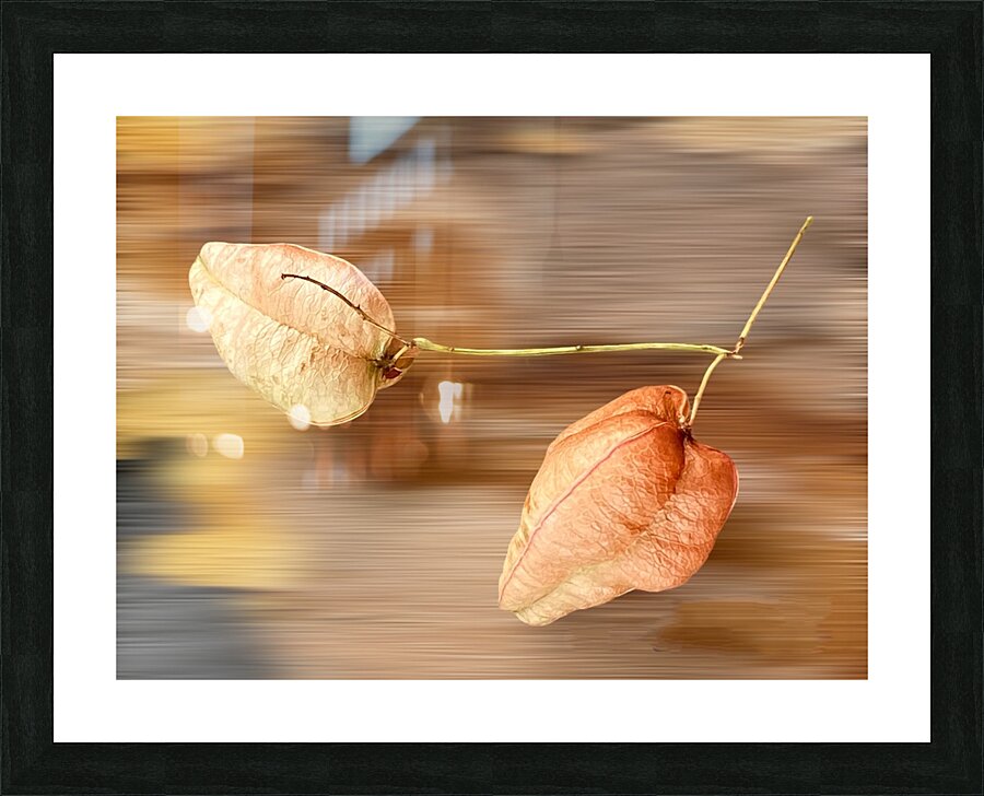 26FA8116 B7A7 4296 9153 F8FD4CF3FB1C Picture Frame print