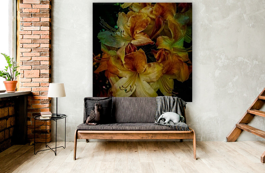 Peachy Rhododendron Reproduction