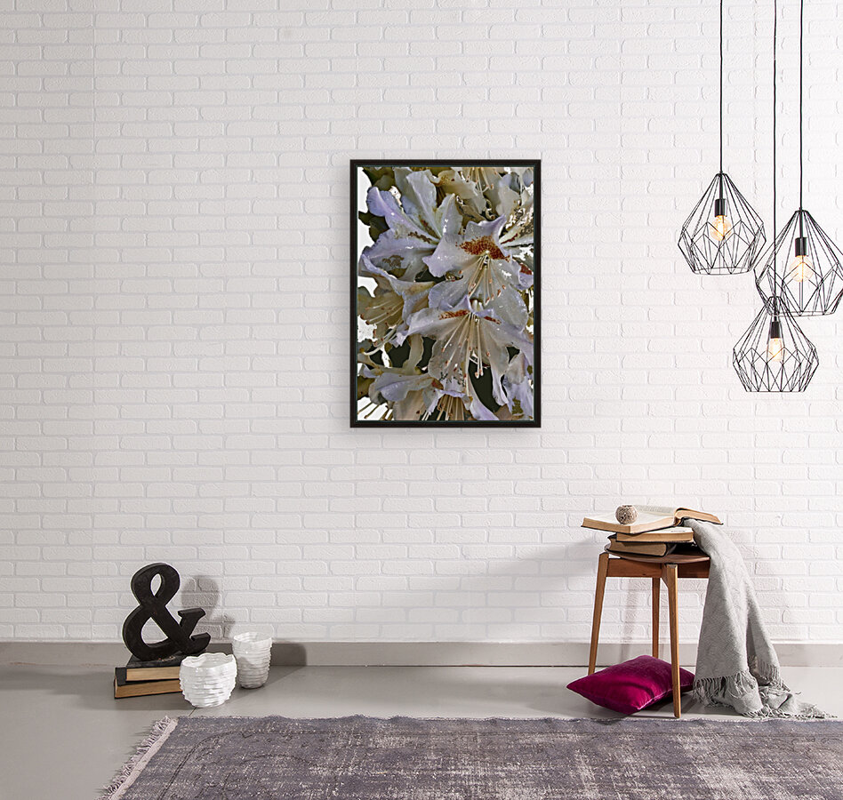 White Rhododendron Reproduction