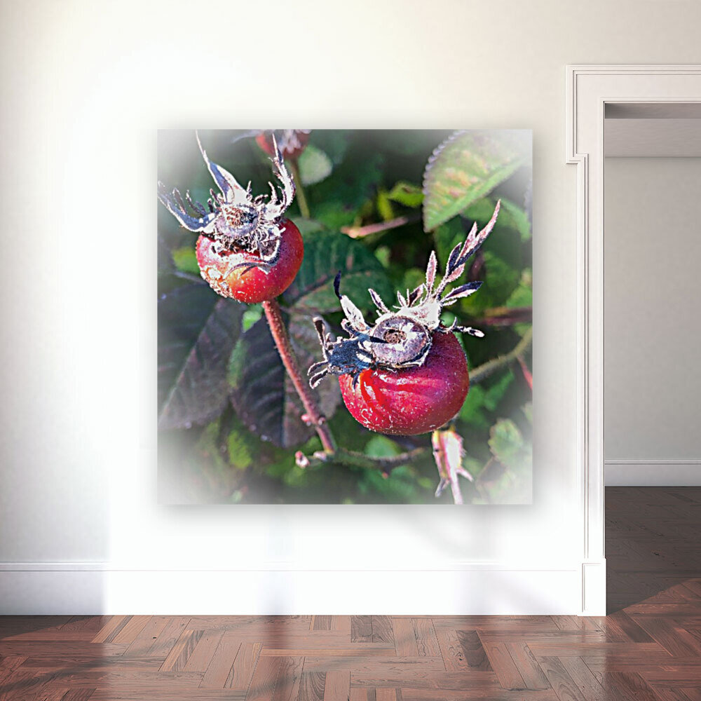 Rose Hips 201015 Reproduction