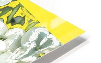 Hydrangea Yellow Composition HD Metal print