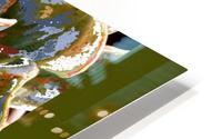 Cactus Abstract 200402 HD Metal print
