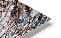 Twisted tree roots with stone HD Metal print