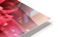 Textural Bromeliad HD Metal print