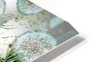 Dandelion Pattern 1 HD Metal print