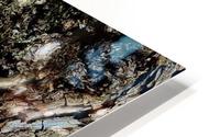 Tree Bark Texture HD Metal print