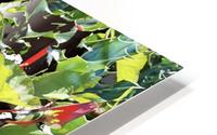 Hedgerow 200712 HD Metal print