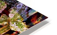Frosted Leaves HD Metal print