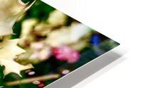 White Holly HD Metal print