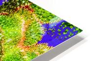 Tropical Colours HD Metal print