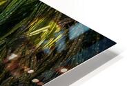 Flowing Grasses with Rain HD Metal print