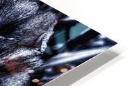 Monochrome Iris HD Metal print