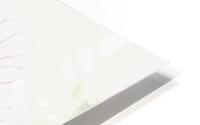 FullSizeRender HD Metal print