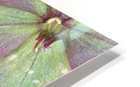 IMG 0401 HD Metal print