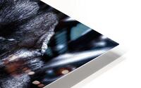 FullSizeRender HD Metal print