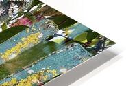 IMG 5397 HD Metal print