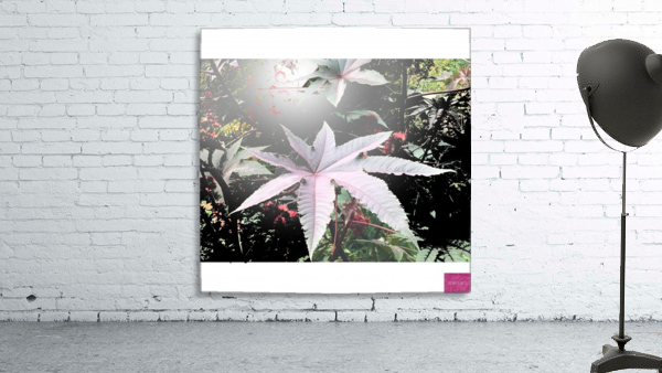 Floral Burst Wall Preview