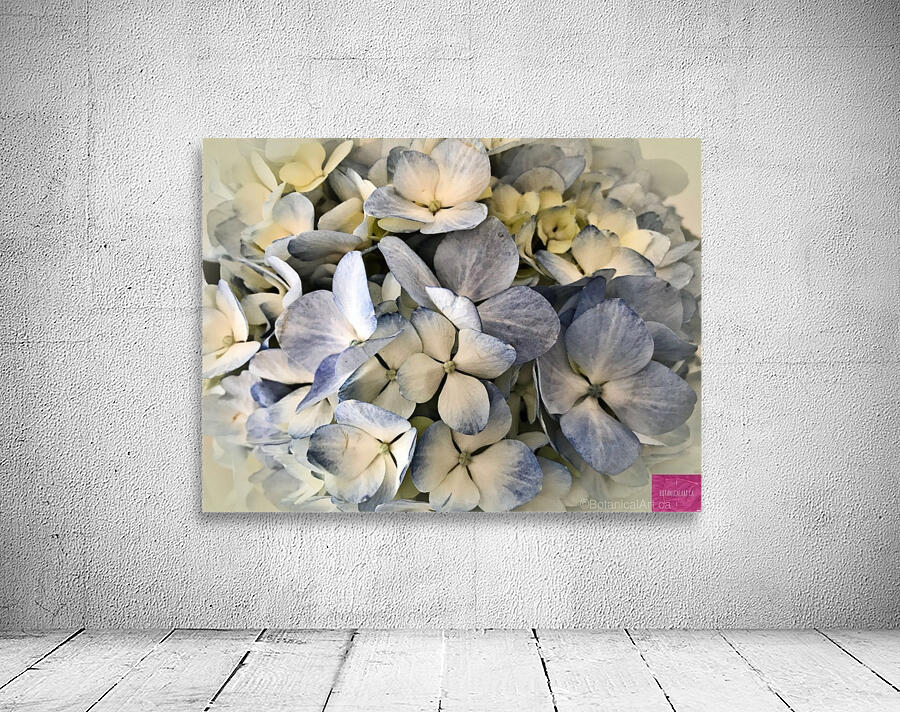 Baby Blue Hydrangea Wall Preview