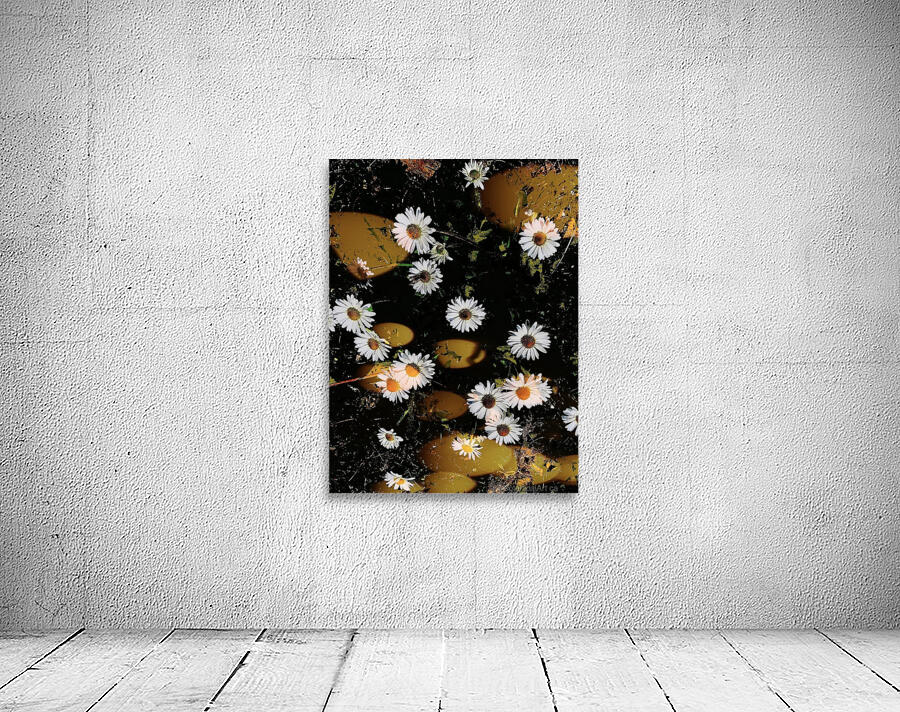 Dancing Daisies Wall Preview