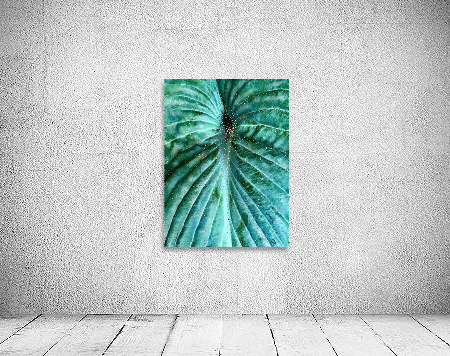 Hosta with Pointillisme Wall Preview