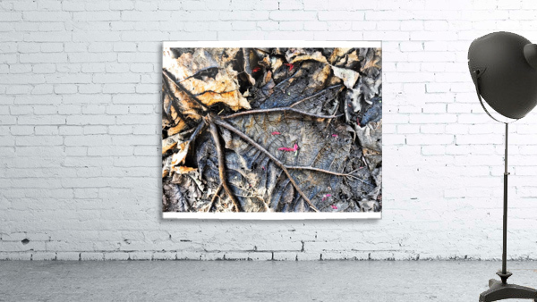 Skeleton Leaf Wall Preview