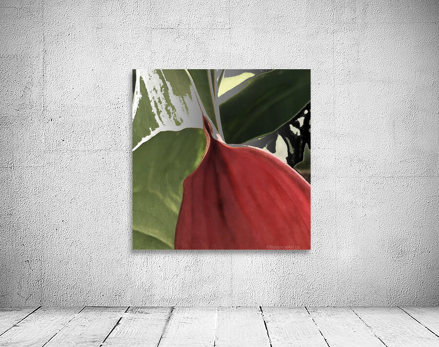 Tropical Red Wall Preview