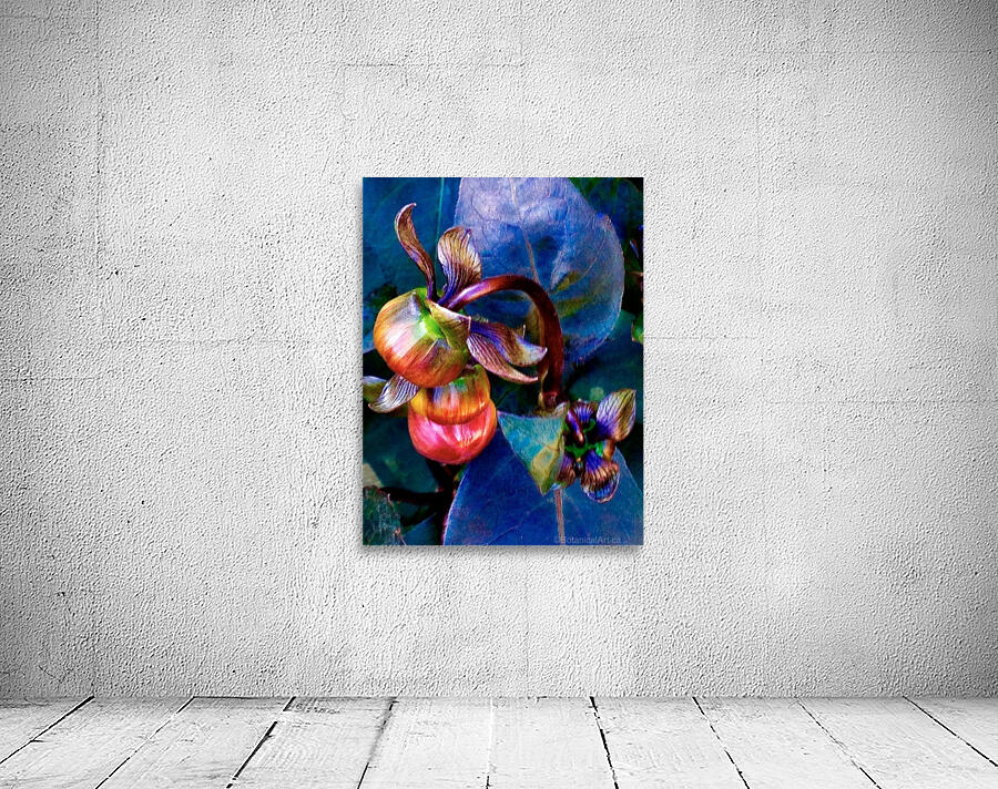 Budding Peony Wall Preview