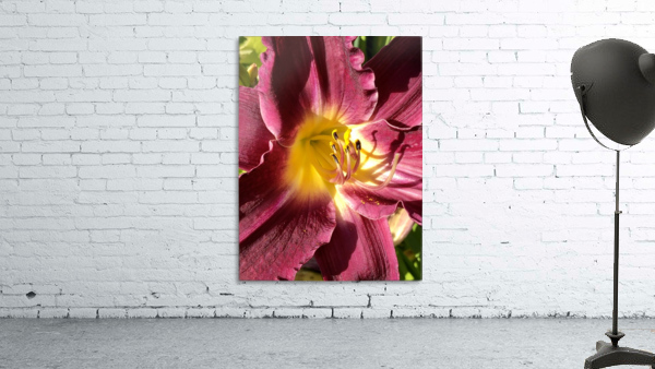 Red Lilly  Wall Preview