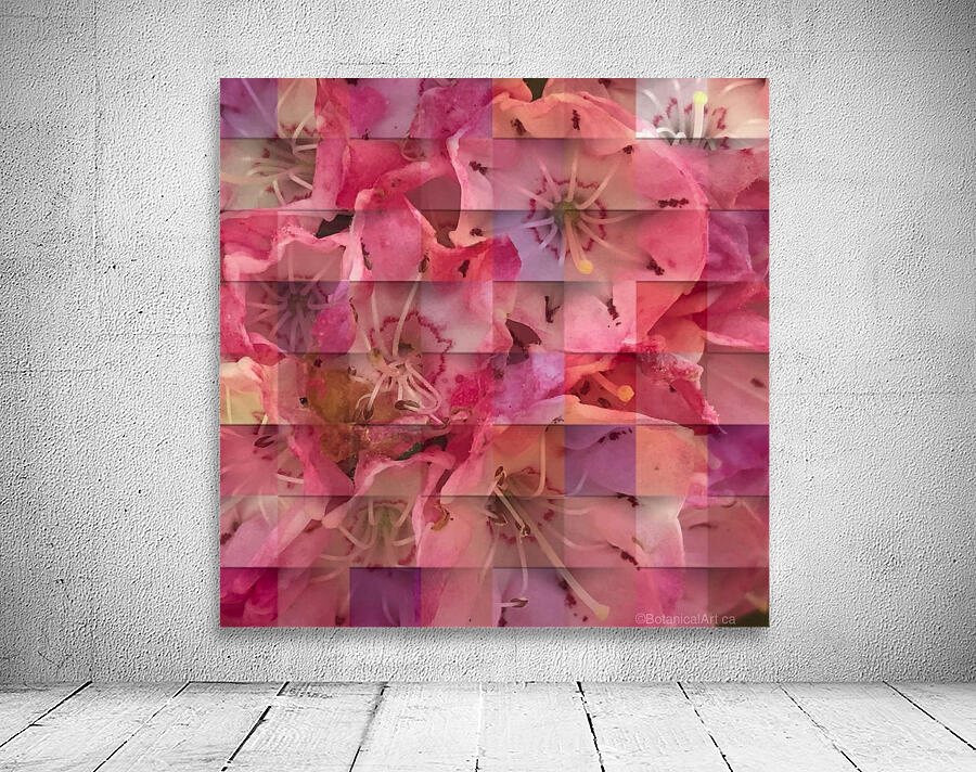 Hydrangea Blossom 200724 Wall Preview