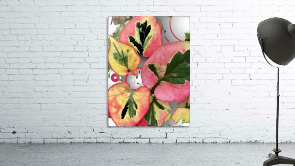 Abstract Leaf Patterns 200729 Wall Preview
