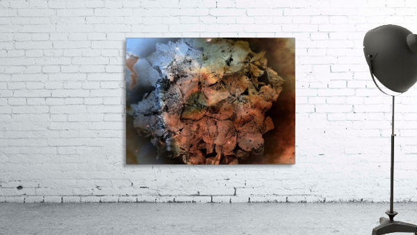 Hydrangea Detail Wall Preview