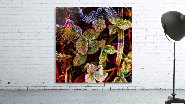 Frosted Leaves Wall Preview