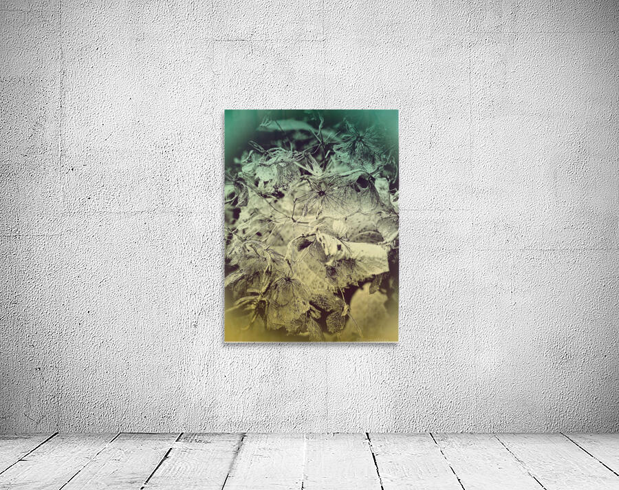 Hydrangea Skeleton Wall Preview