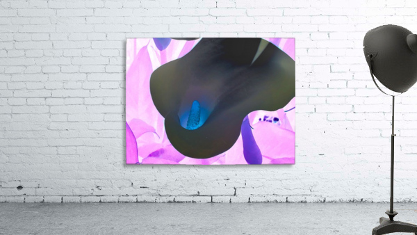Black Lily Wall Preview