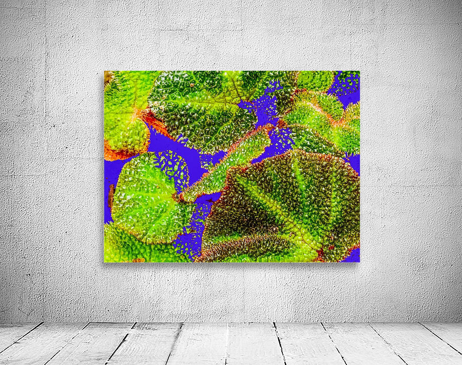 Tropical Colours Wall Preview