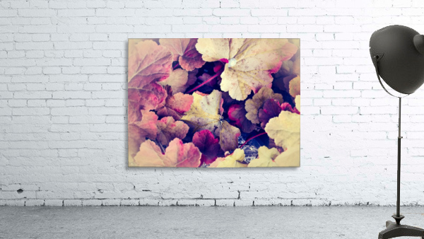 Shapely Pinkish Leaves Wall Preview