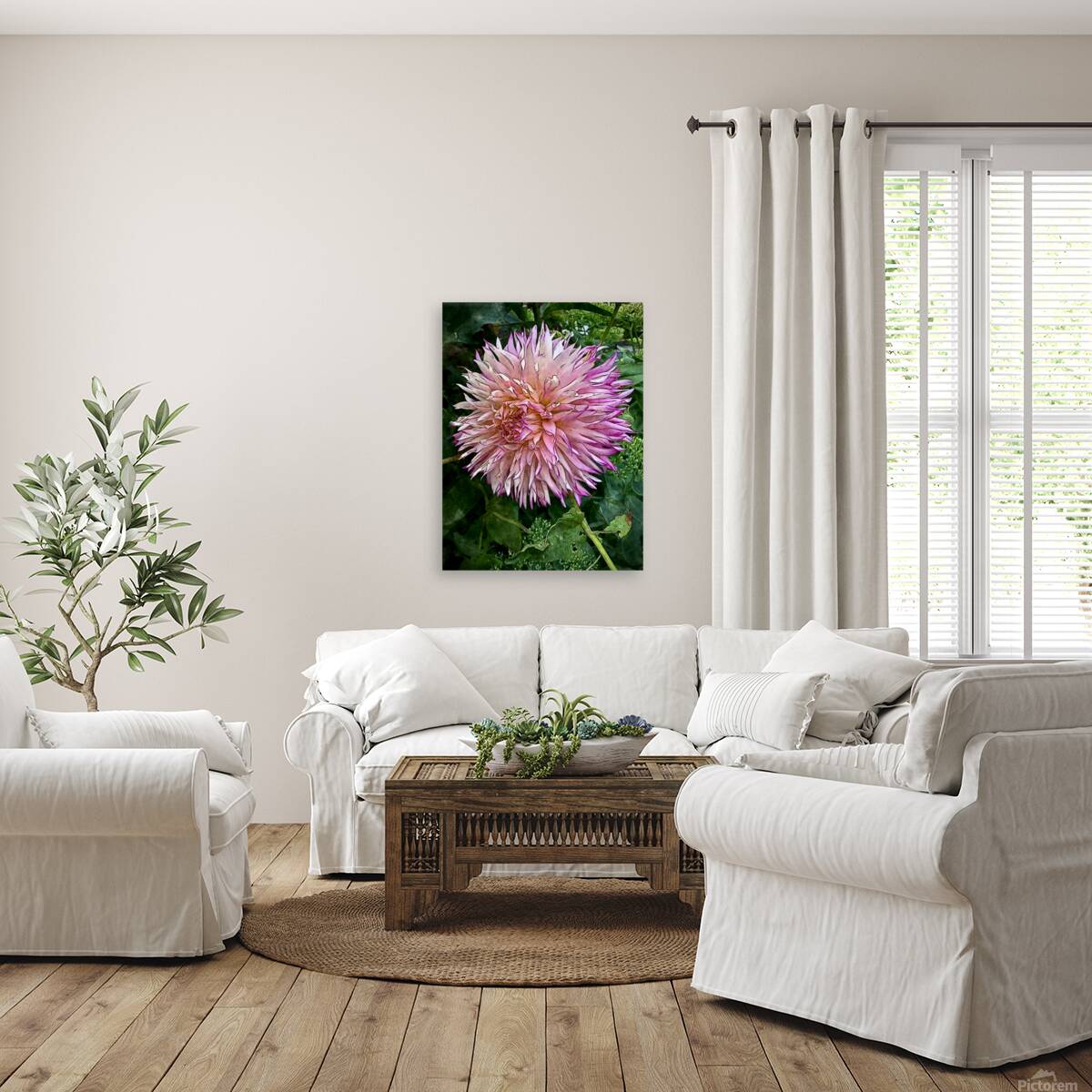 Dahlia Abstract  Reproduction