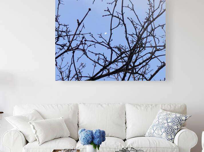 Day Moon Reproduction