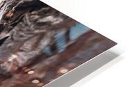 Focused Bark HD Metal print