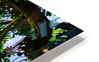 IMG 5469 HD Metal print