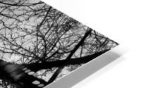 IMG 0368 HD Metal print