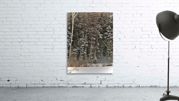 Snow Heights Wall Preview