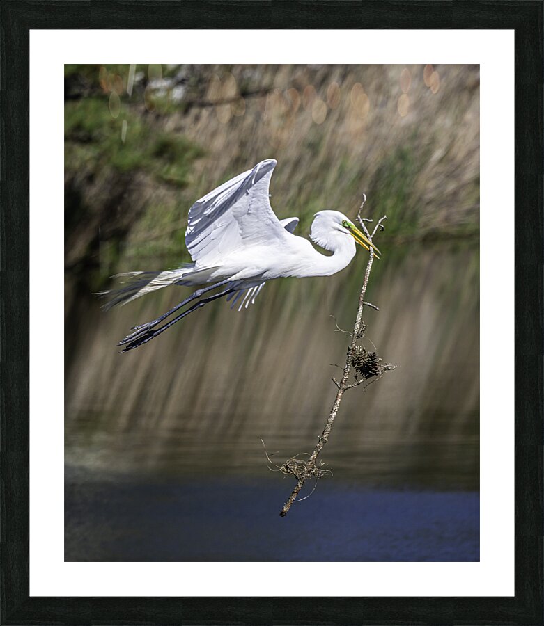 Determination Picture Frame print